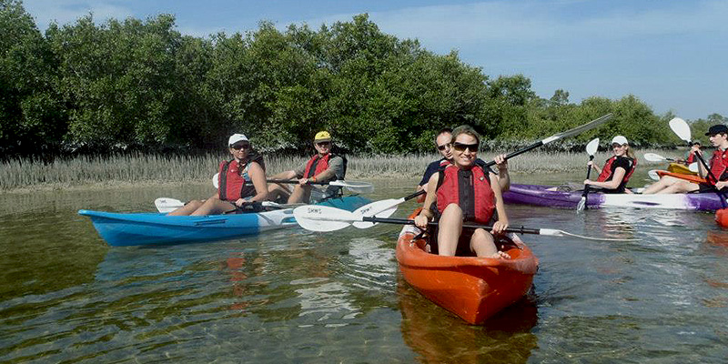  Mangrove Kayaking Tours 