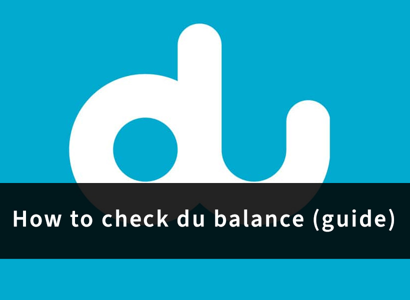 How to check du balance guide